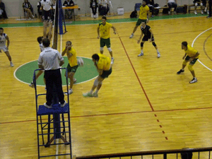 volley villafranca mantova