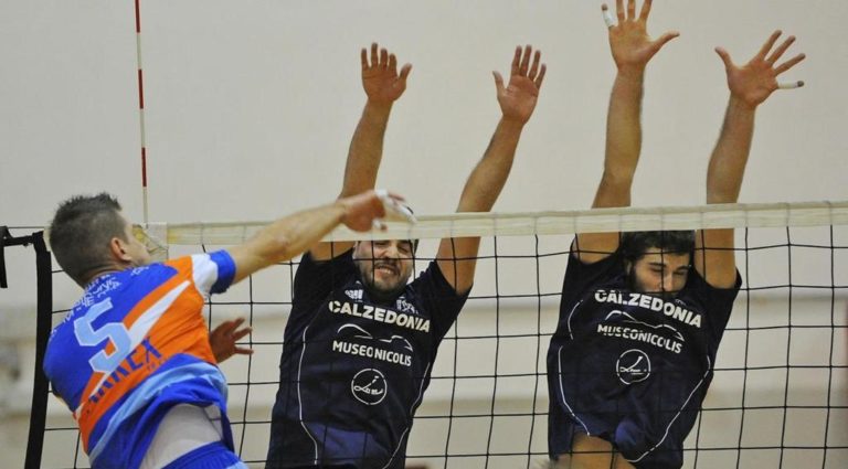 psg volley 2014 vsbibione