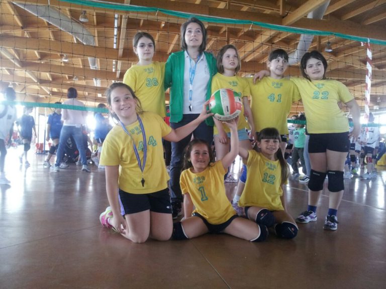 festaminivolley2015